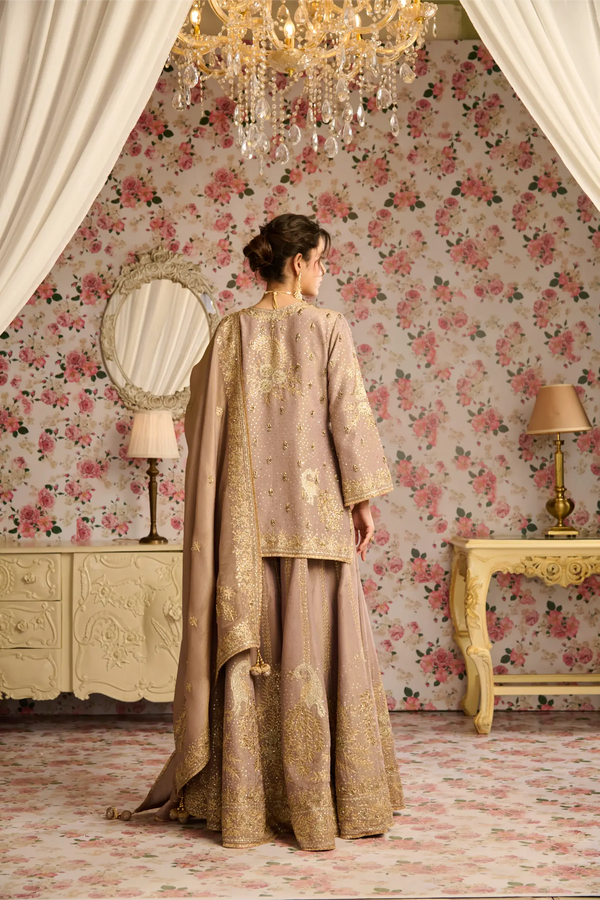 MAYUR Sharara Set