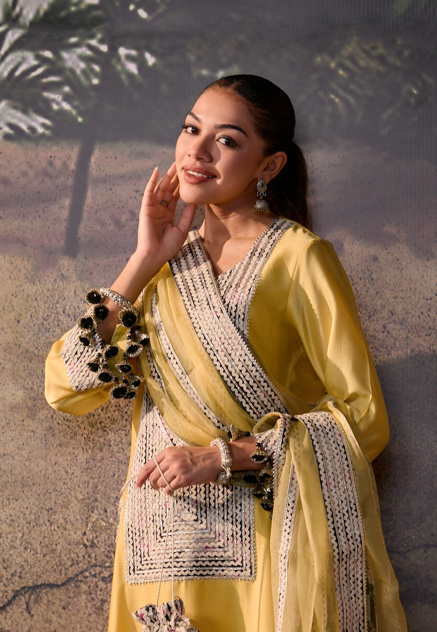 INARA NURVI STRAIGHT KURTA SET